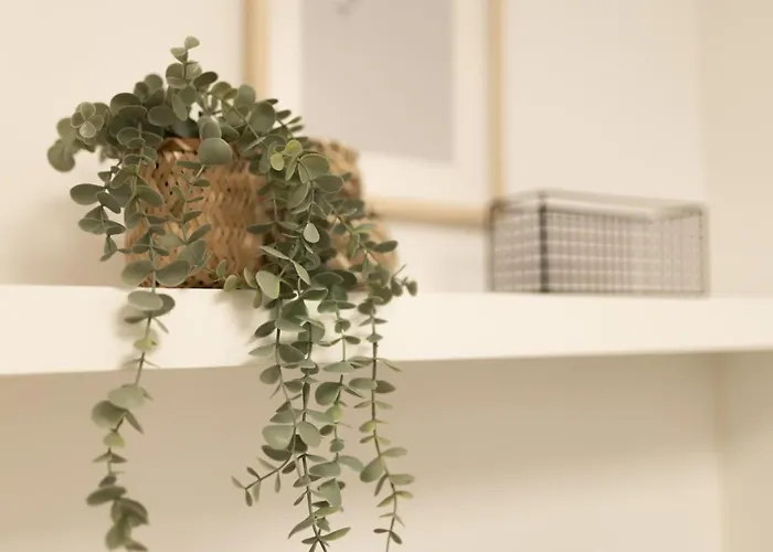 Apartamento Dwellstay - Modernes I 55qm I 2 I Küche I Bad I Terrasse I Tv I Wlan *